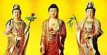 第61集 佛教的基本教理是什么？ 正圜老师开示